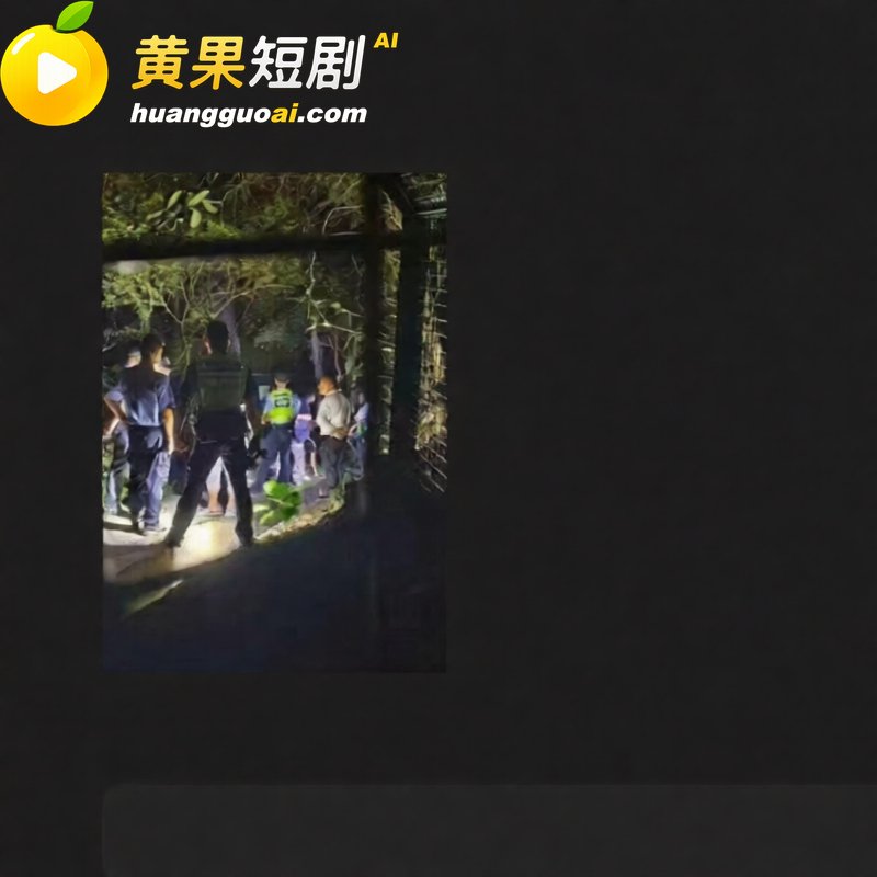 广东 深圳龙岗雅宝公园 群gay互约 染病的gay被人拒绝 现场举报引来大批警察抓人