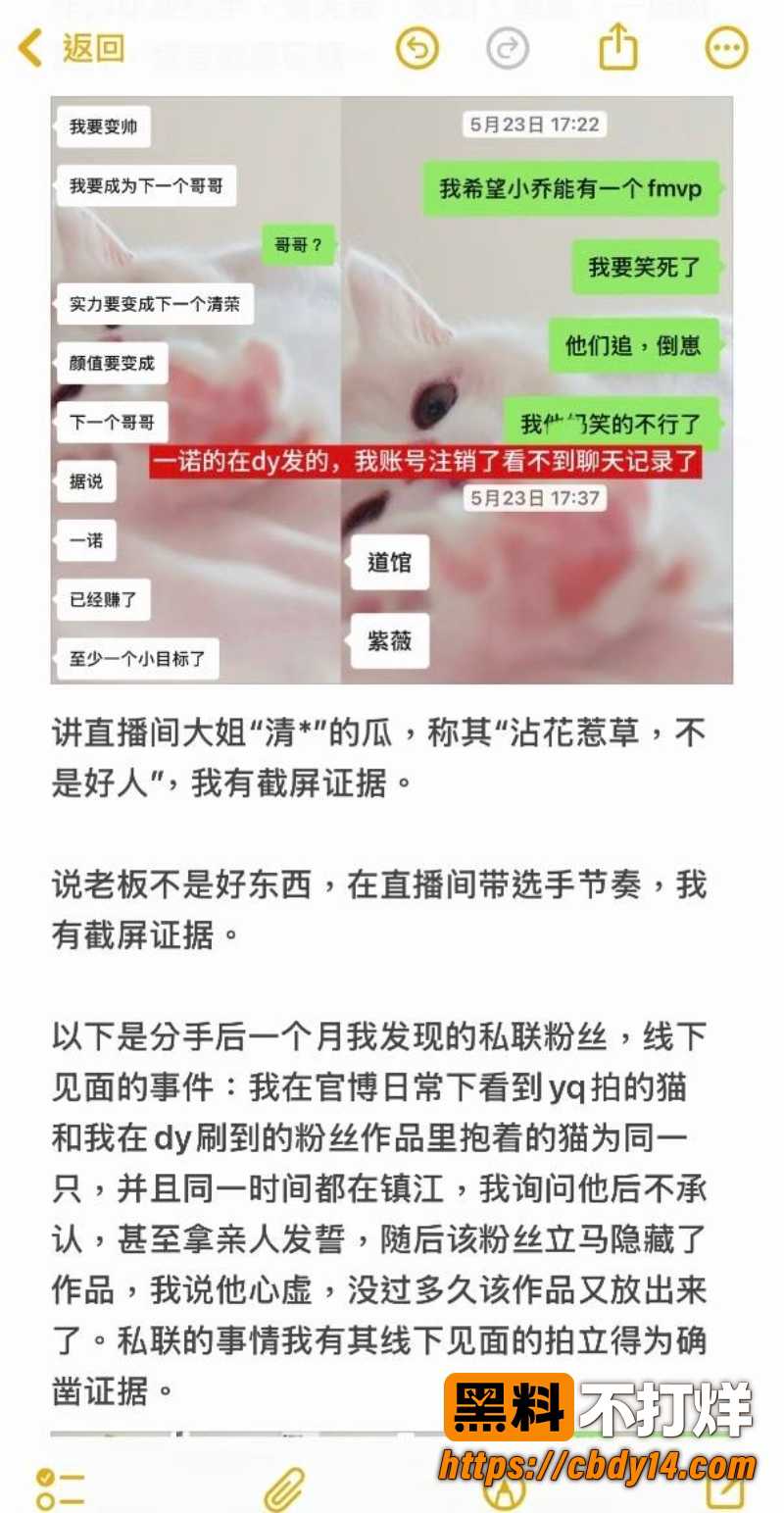 王者荣耀职业选手 无锡TCG语钦 被前女友怒爆家暴 PUA多次出轨私联粉丝